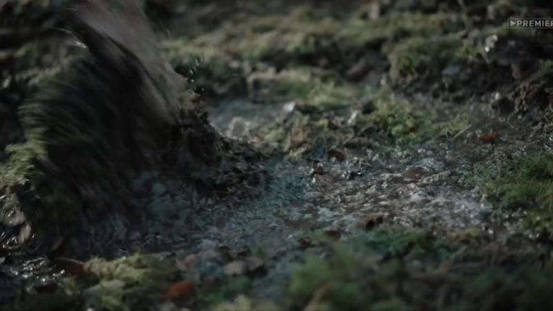 Кадры из сериала Территория (2020)
